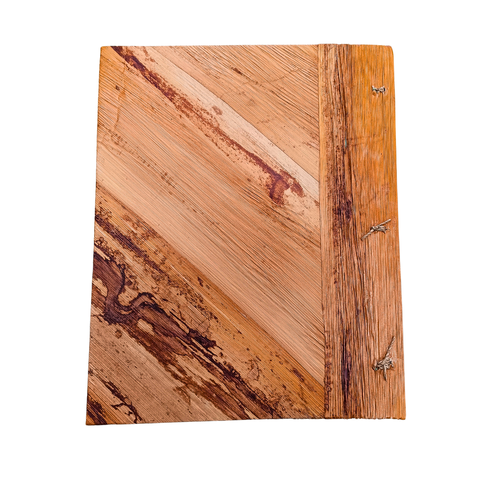 Natural Botanical & Sea Shell Hawaii Photo Album – Handmade